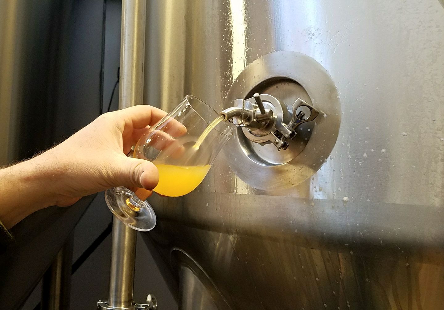 filter beer